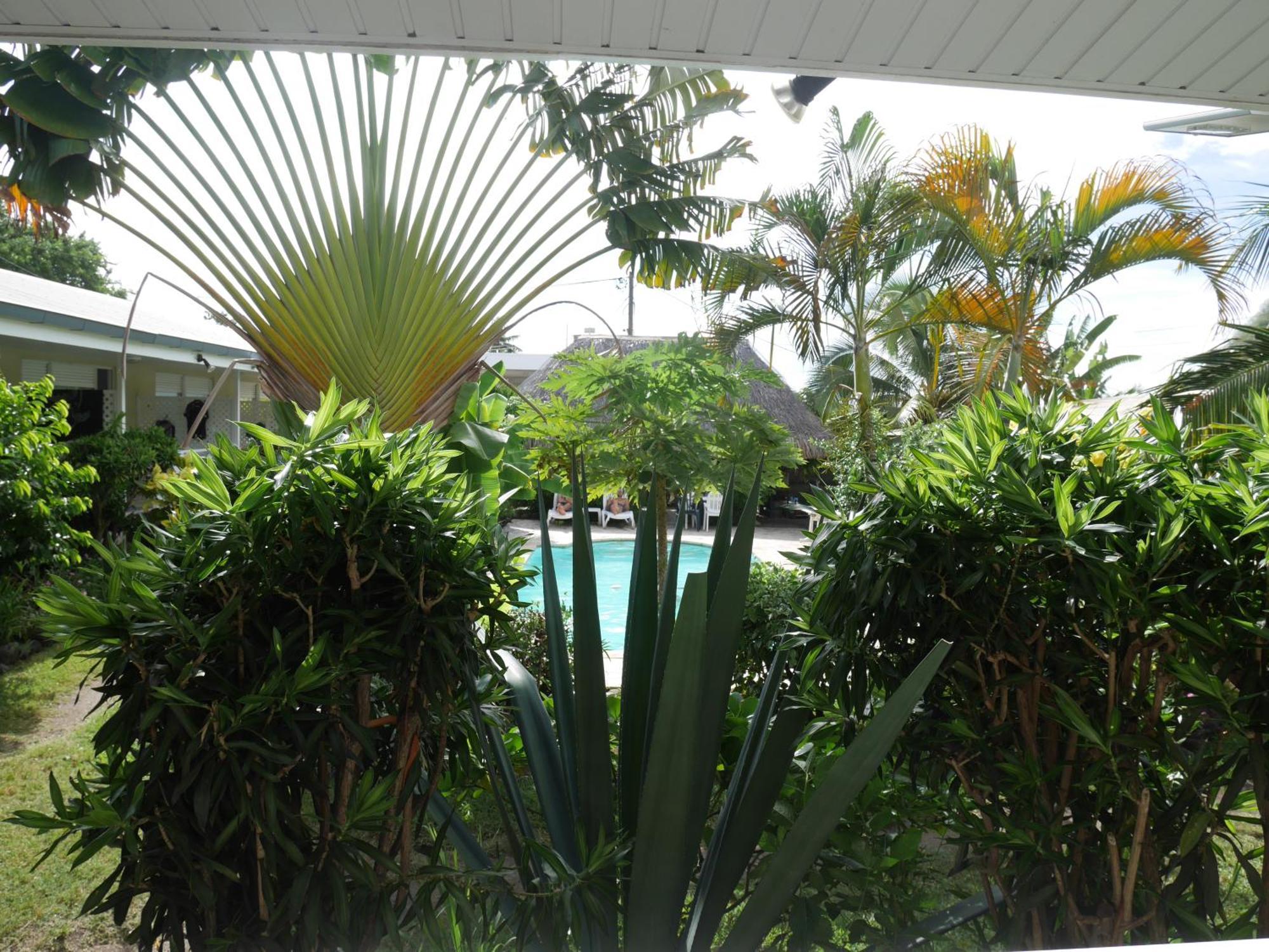 Pension De La Plage Punaauia  Phòng bức ảnh